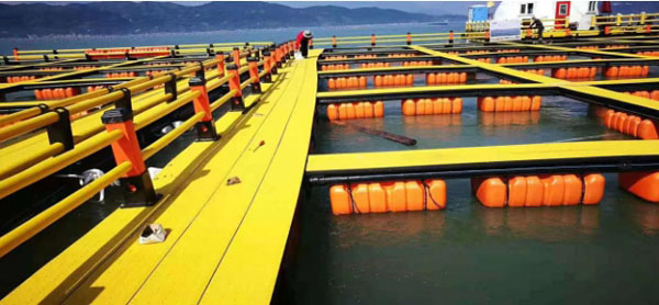 滾塑成型網(wǎng)箱 滾塑成型網(wǎng)箱